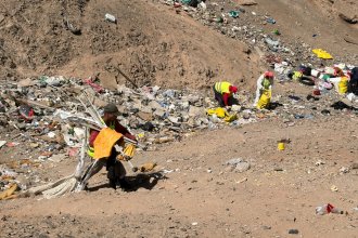 WhatsApp Image 2026-02-18 at 13.51.50.jpeg